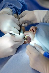 Sterile operative field during dental surgery. Dentist and assistant hands.